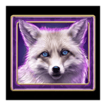 Symbol Arctic Fox