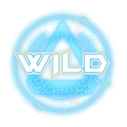 Symbol Wild
