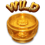 Symbol Wild