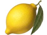 Symbol Lemon