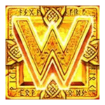 Symbol Persistent Wild