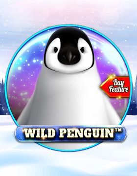 Wild Penguin