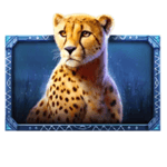 Symbol Cheetah