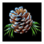 Symbol Pine Cone