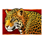 Symbol Leopard