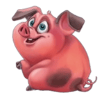 Symbol Pig