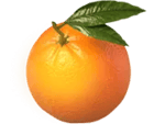 Symbol Orange