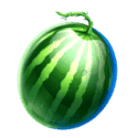 Symbol Watermelon