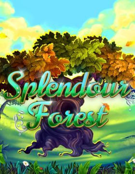 Splendour Forest