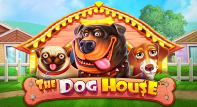 The Dog House