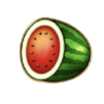 Symbol Watermelon