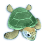Symbol Turtle