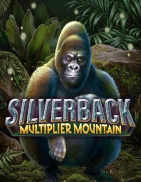 Silverback Multiplier Mountain