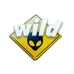 Symbol Wild